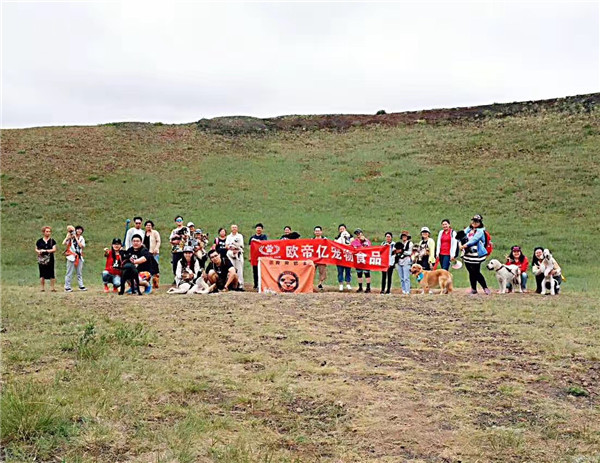 活动回顾｜欧帝亿主题狗狗巴士察哈尔草原深处探秘万年火山