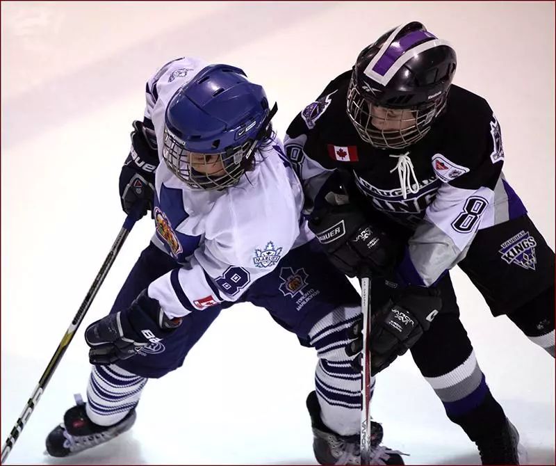 加拿大冰球最新消息,加拿大为什么会那么热