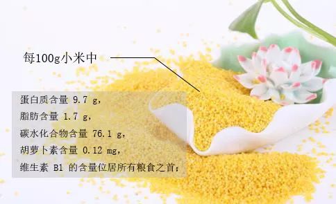 菘蓝花开,菘蓝开花