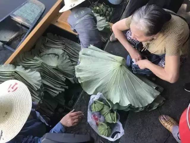 西湖荷花出售,西湖荷叶哪里有卖