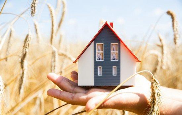 墙都不扶就服这个！超详细的买房流程让你买房不走弯路！