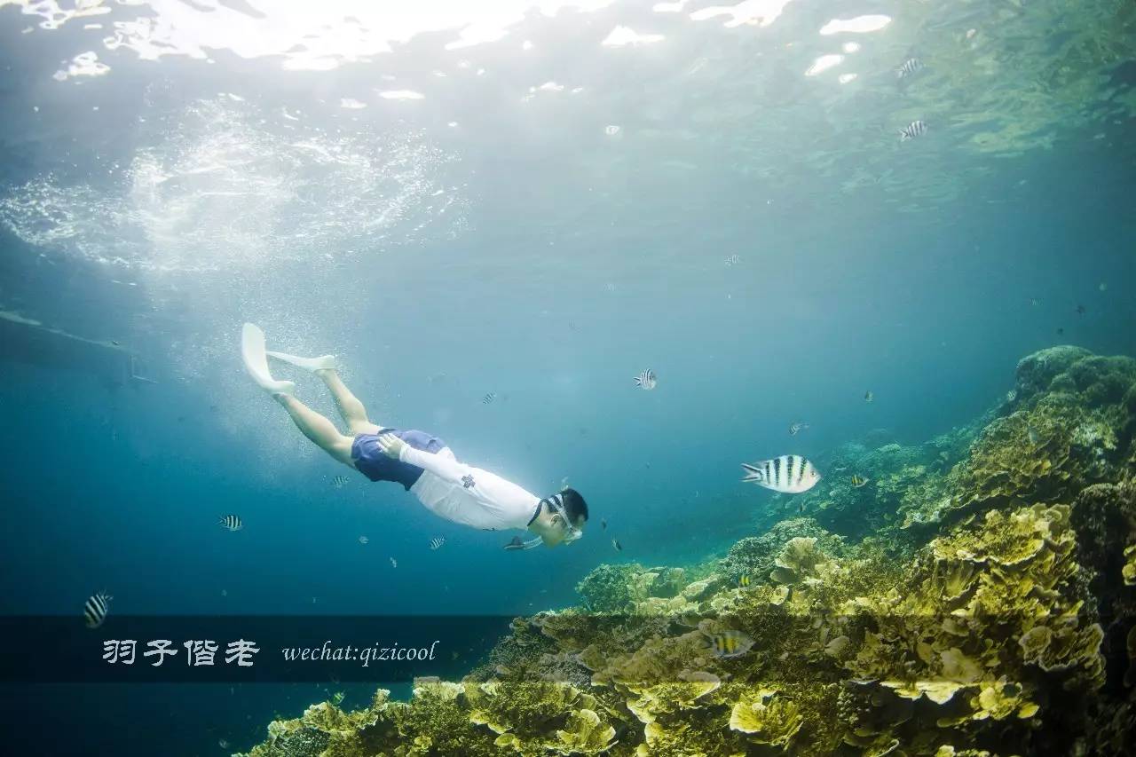 帕劳旅行真实感受,三次帕劳是一种什么体验