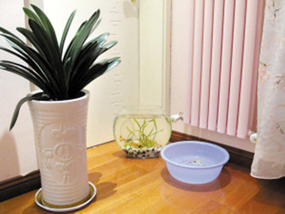 降低室内温度最好方法有哪些,如何将室内温度控制在25度左右