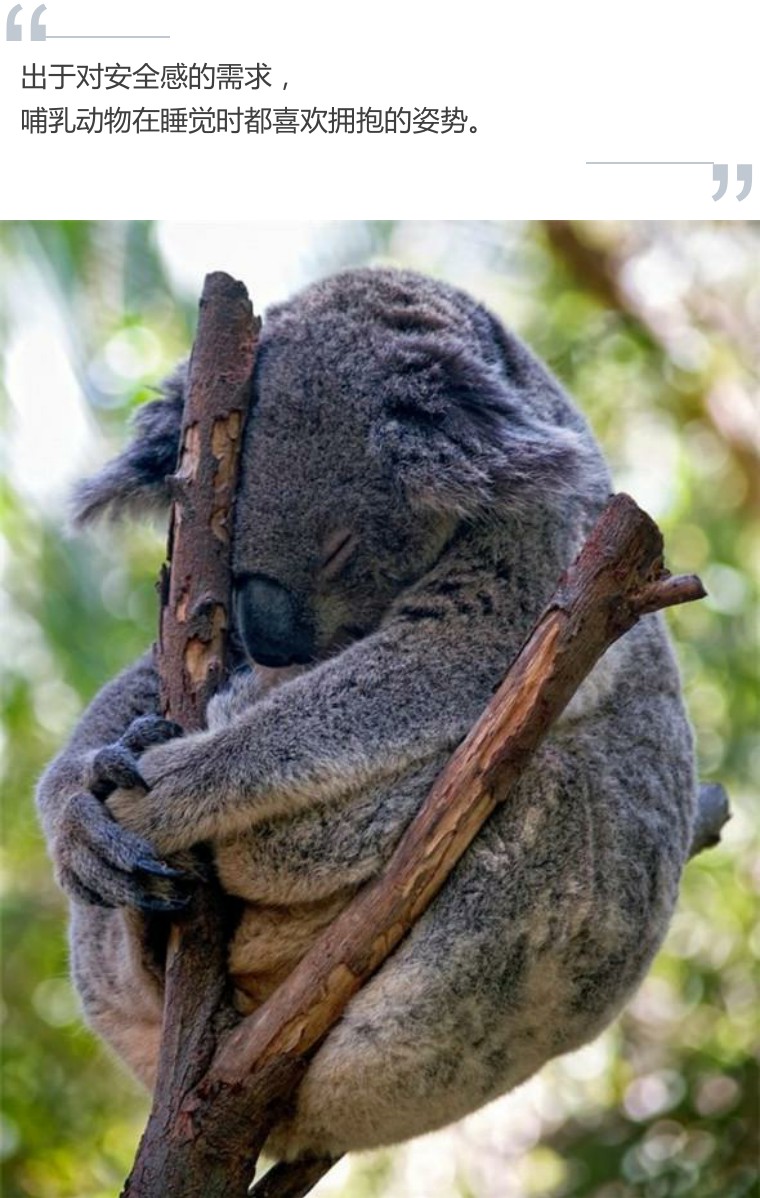 推荐抱枕好看又便宜,盘点7款美爆的抱枕