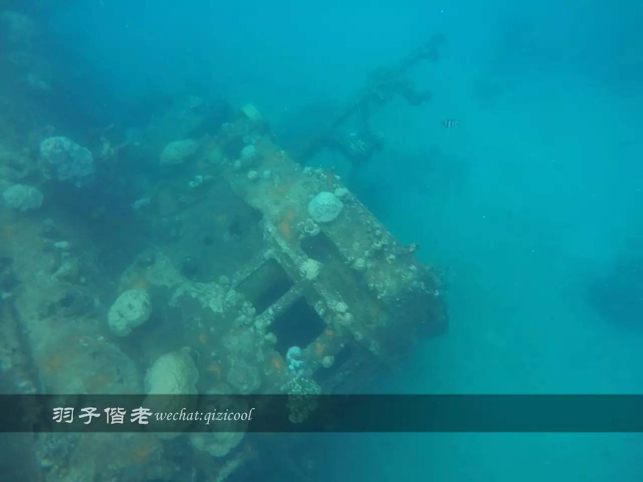 帕劳旅行真实感受,三次帕劳是一种什么体验