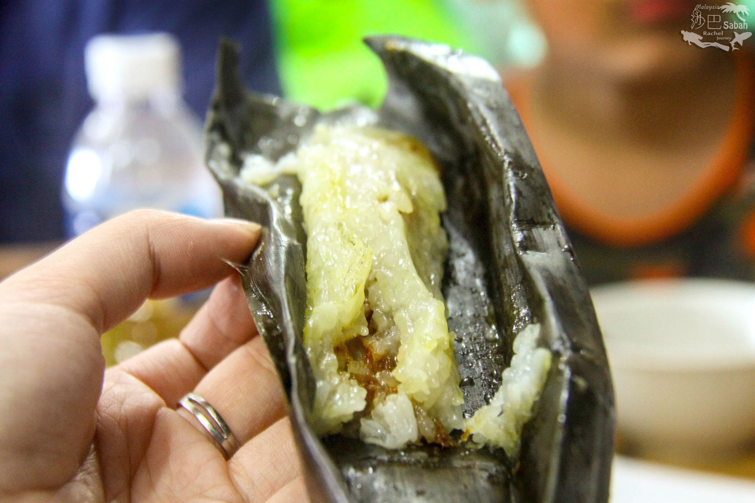 热带雨林是毒还是美威士顿红树林里有怎样的奥秘