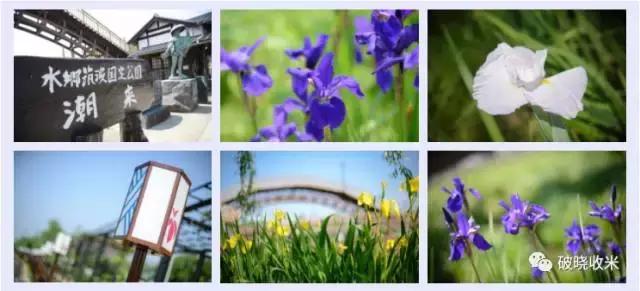 j联赛入门教学视频,j联赛浦和红钻