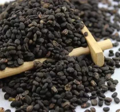 暖宫助于受孕的简单方法,怀孕了按哪个穴位排寒