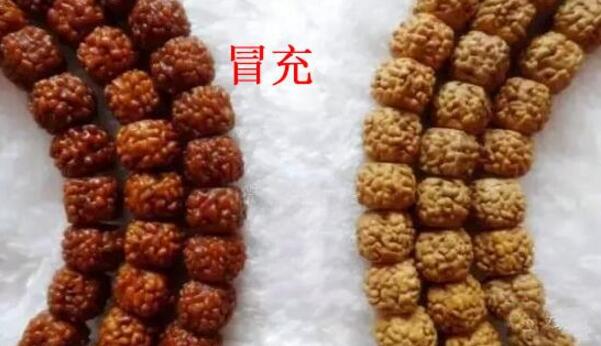 这八种金刚千万不要玩！