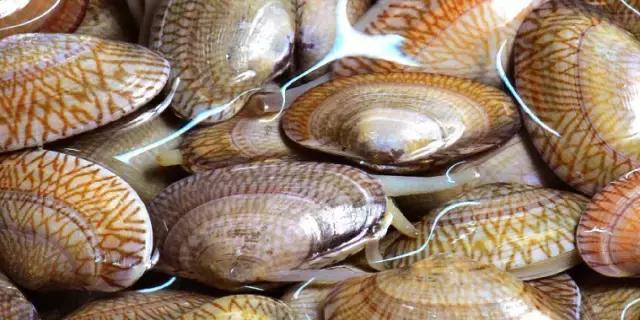 分得清才能拎得清,分得清