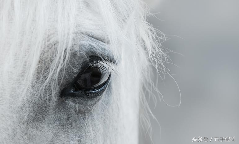 这个Android间谍软件可以记录通话,截屏和视频,定位Gmail,LinkedIn监控社交应用