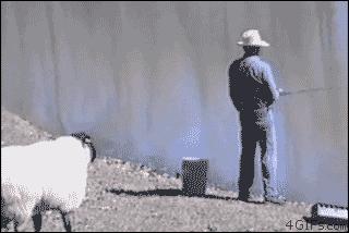 bat国潮,bat大举博弈