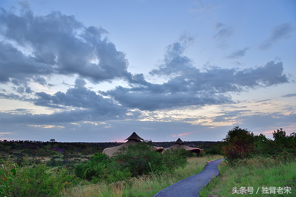肯尼亚动物大迁徙旅游,肯尼亚迁徙之旅