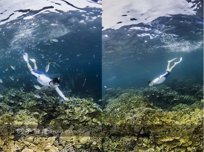 帕劳旅游发展的前景,去帕劳注意事项和必备品