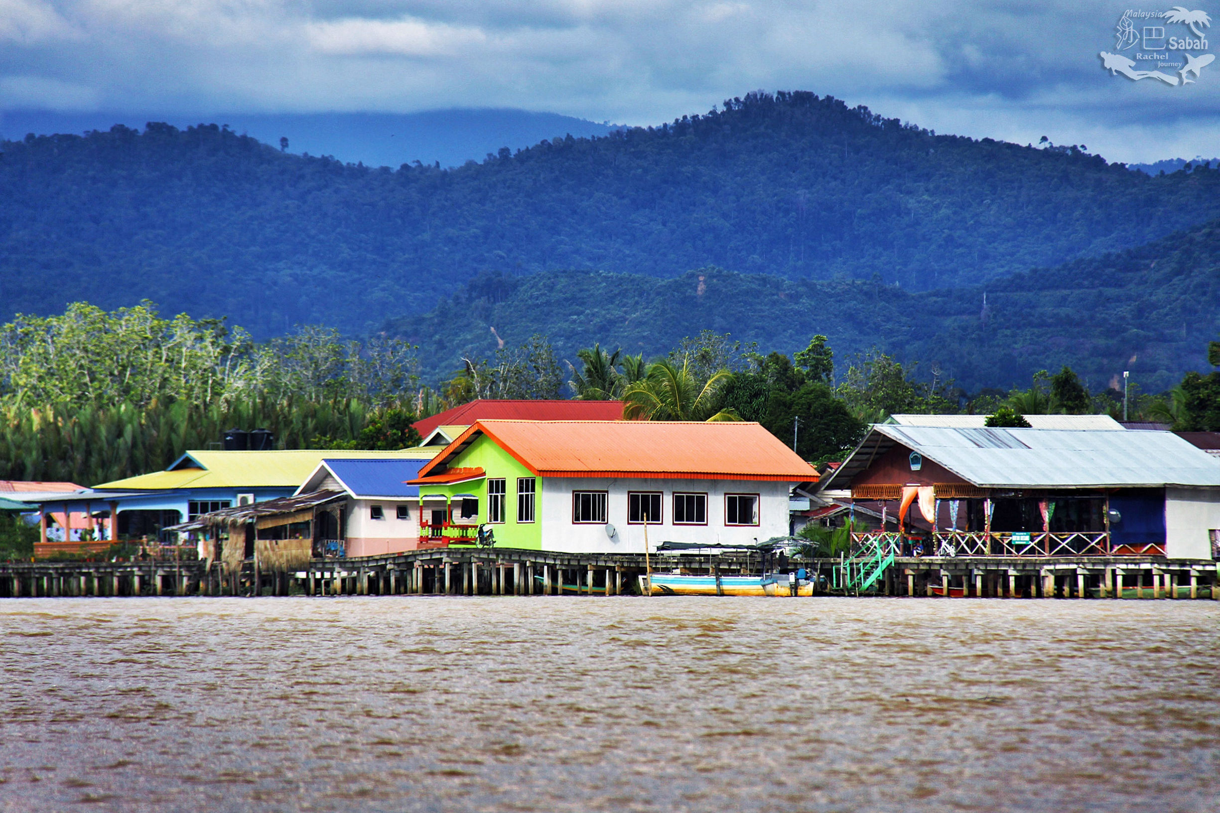 热带雨林是毒还是美威士顿红树林里有怎样的奥秘