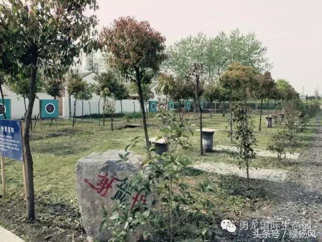 来扬州必买饰品,来扬州别错过的打卡地