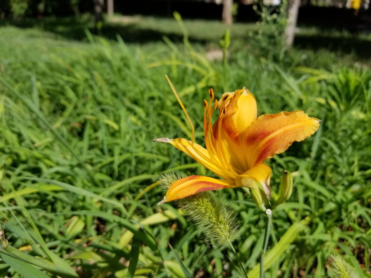 三星盖乐世s8优缺点,三星盖乐世s8很卡