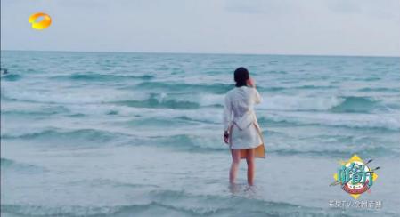 赵薇是个见过大世面的人吗,赵薇是一个很有头脑的女人