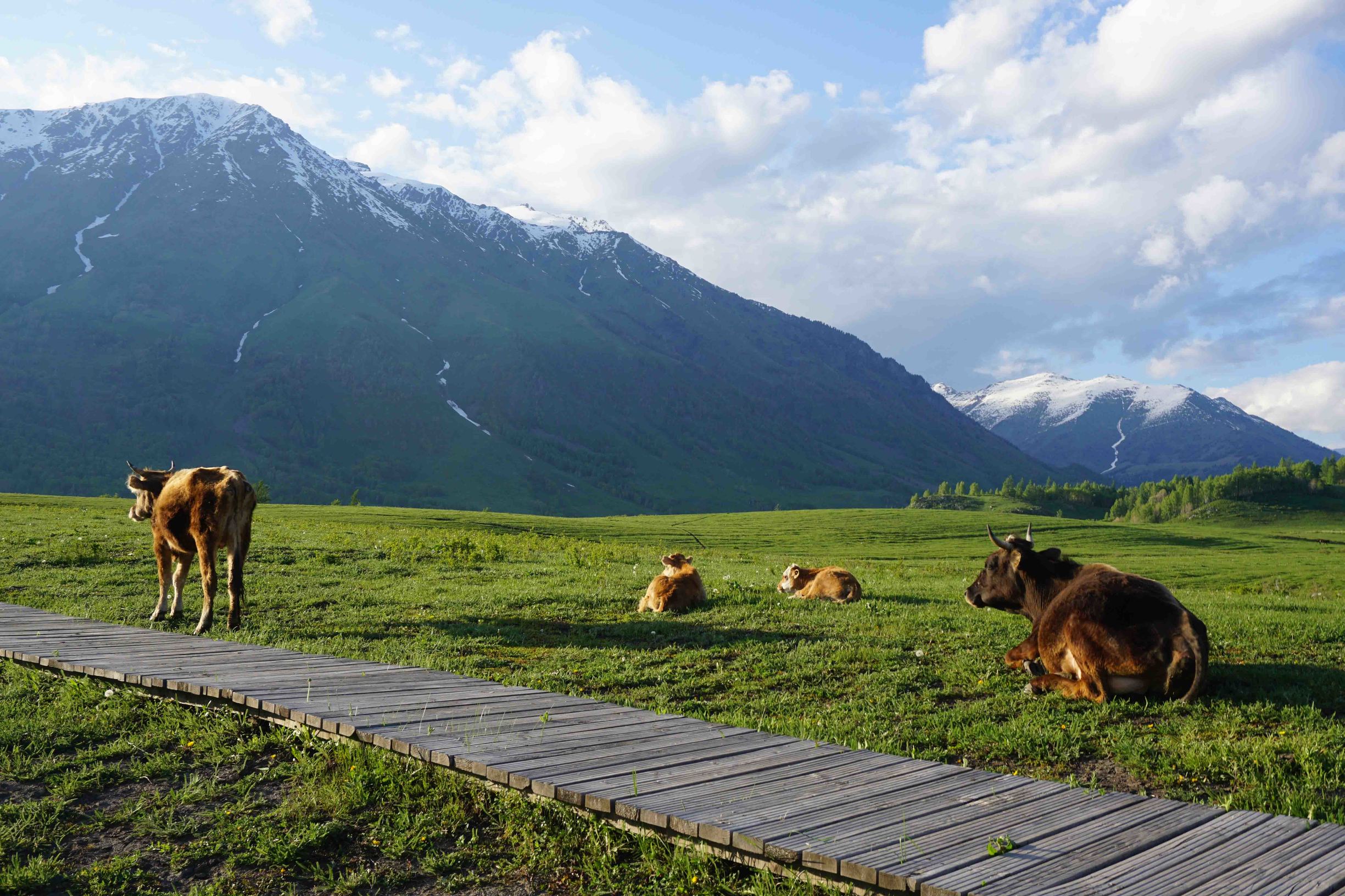 小蚁微单和索尼a5100 (佳能和小蚁微单哪个好)