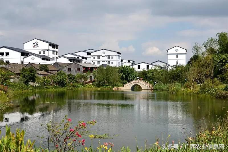 暑假去哪里旅游好进广西,暑假去哪里玩好玩又便宜广西