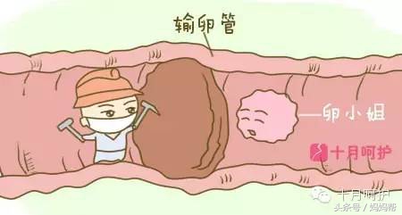 备孕三年才受孕是输卵管原因吗,一侧输卵管堵塞成功备孕案例