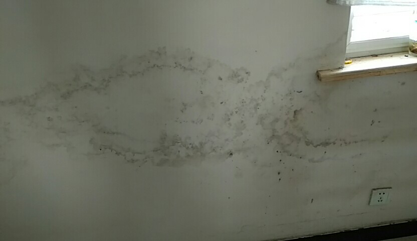 墙体发霉漏水起皮怎么办,墙体发霉返潮的原因