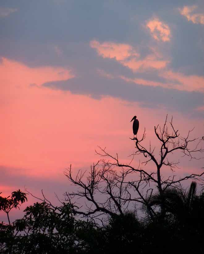 左岸时光，右岸回眸，在心里约定陪你到永远