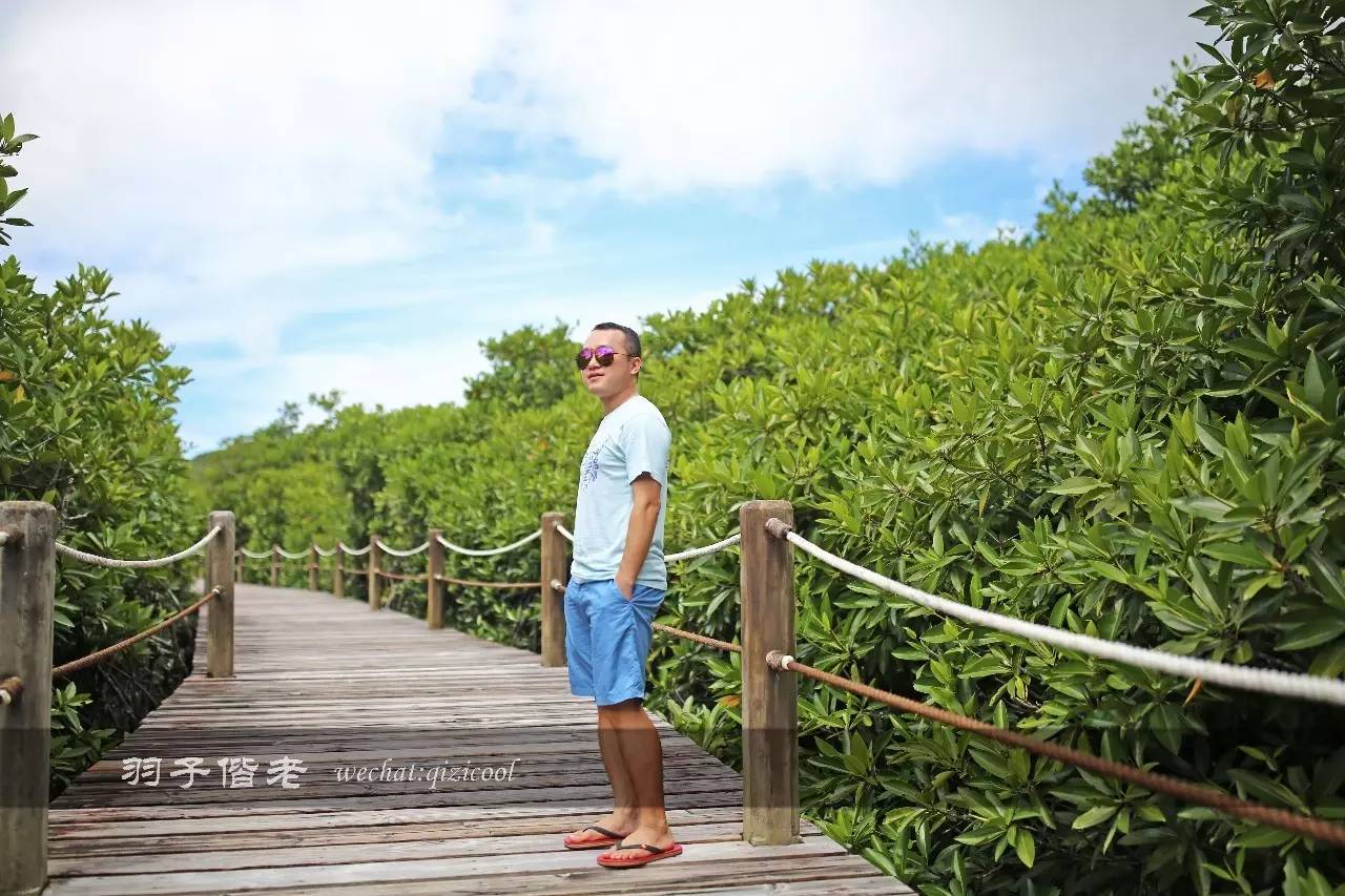 帕劳旅行真实感受,三次帕劳是一种什么体验