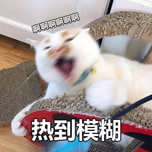 40度高温适合用什么护肤品,40°c高温粉底