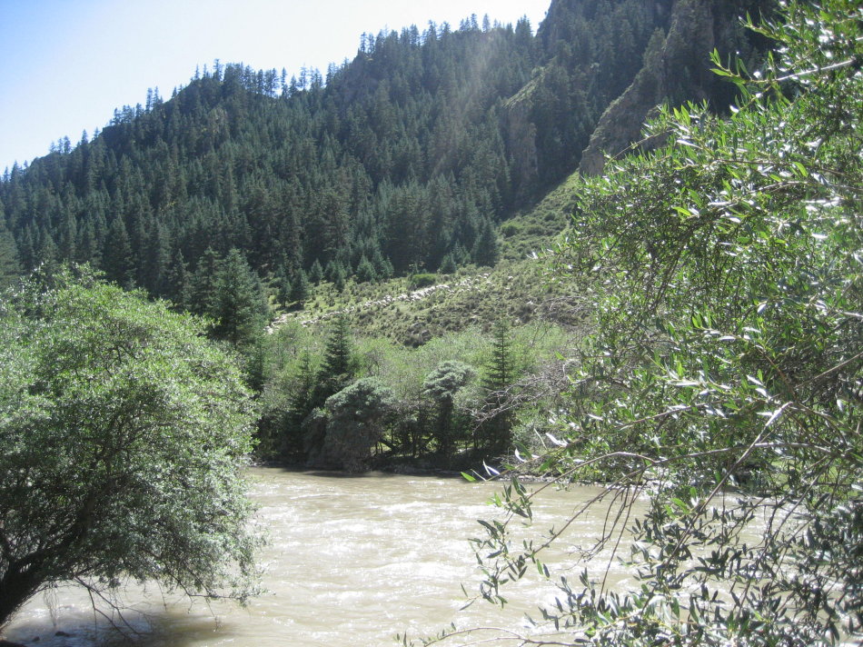 亚洲第一马场山丹军马场,世界第一大马场