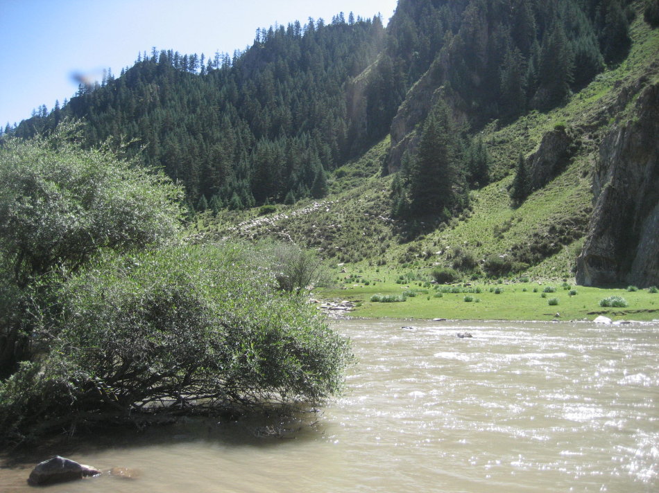 亚洲第一马场山丹军马场,世界第一大马场