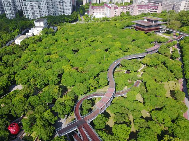 又多了一个免费约会公园！空中栈道、荔枝林、*瑰园玫**，环境超棒的！