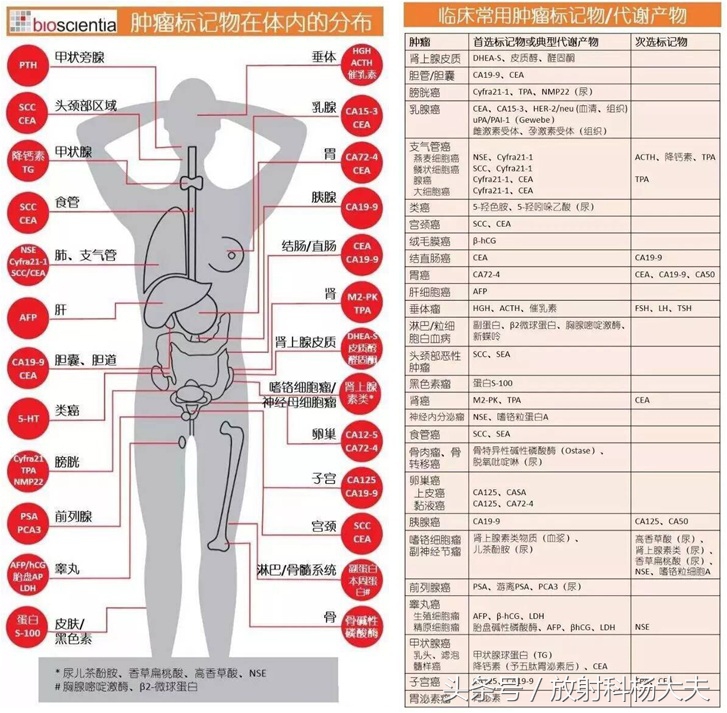 体检afp偏高10.65,体检afp甲胎蛋白偏高