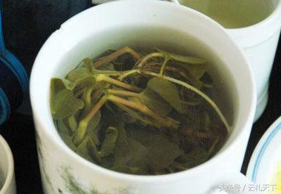 大地给予我们的馈赠,大地馈赠了野菜