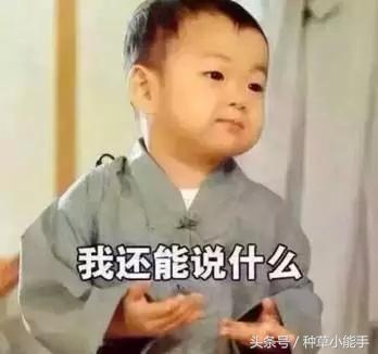 娜扎晒美背皮肤白到发光,娜扎变身神奇女侠白到发光