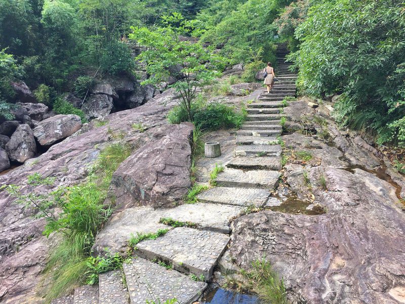 一场说走就走暑假旅行,一场说走就走的旅行来了