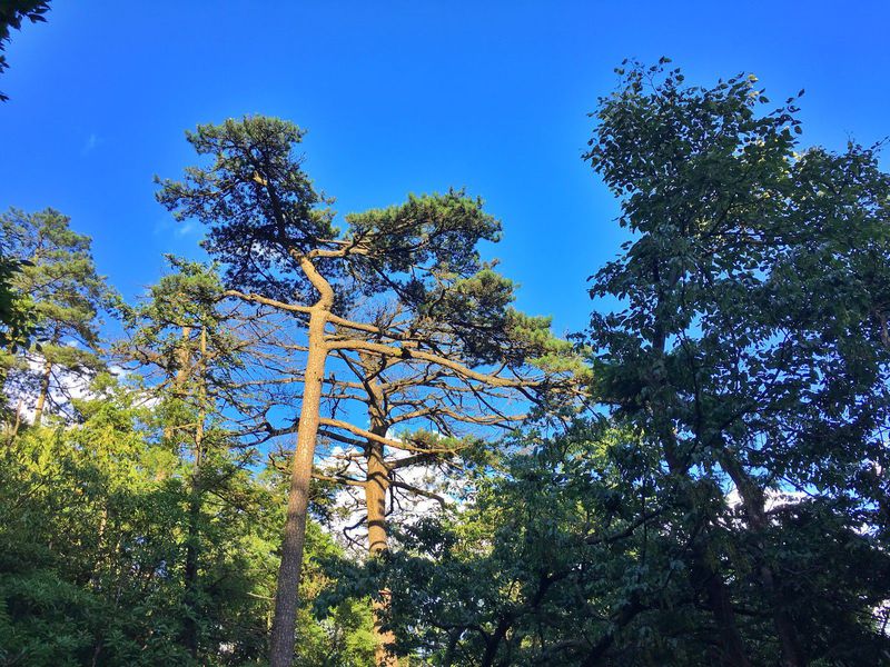 一场说走就走的夏日旅游,一场说走就走的山水旅游