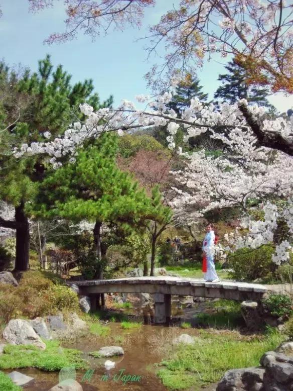 京都自由行景点大全,京都北野天满宫攻略