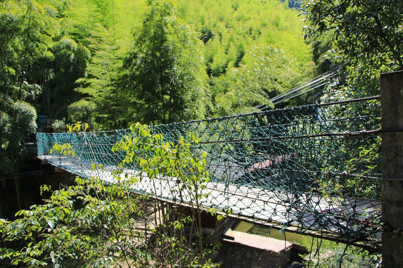 一场说走就走的夏日旅游,一场说走就走的山水旅游