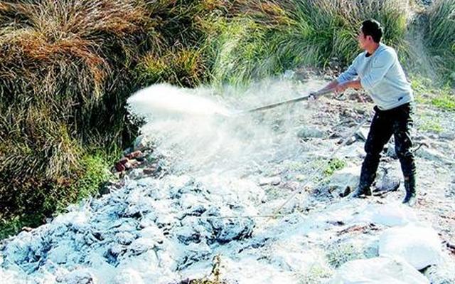 病死鸡处理方法,病死的鸡什么样子