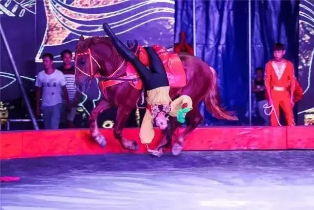 实探冰雪武汉,大马戏武汉市