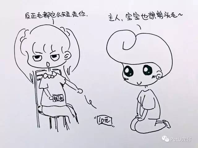 大学里养狗是种什么体验,女朋友养狗家里脏乱差