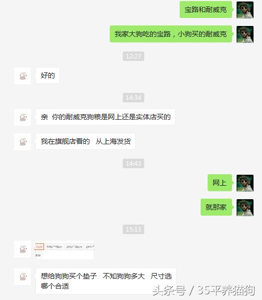 我和我的狗子们：养狗人的心醉幸福二三事儿