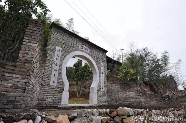 处州龙泉,处州龙泉在哪里