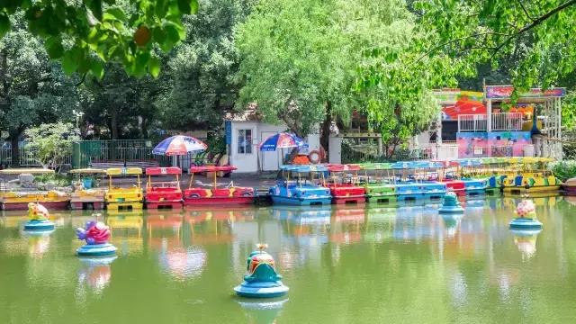 高温下的上海城市,上海40度以上高温