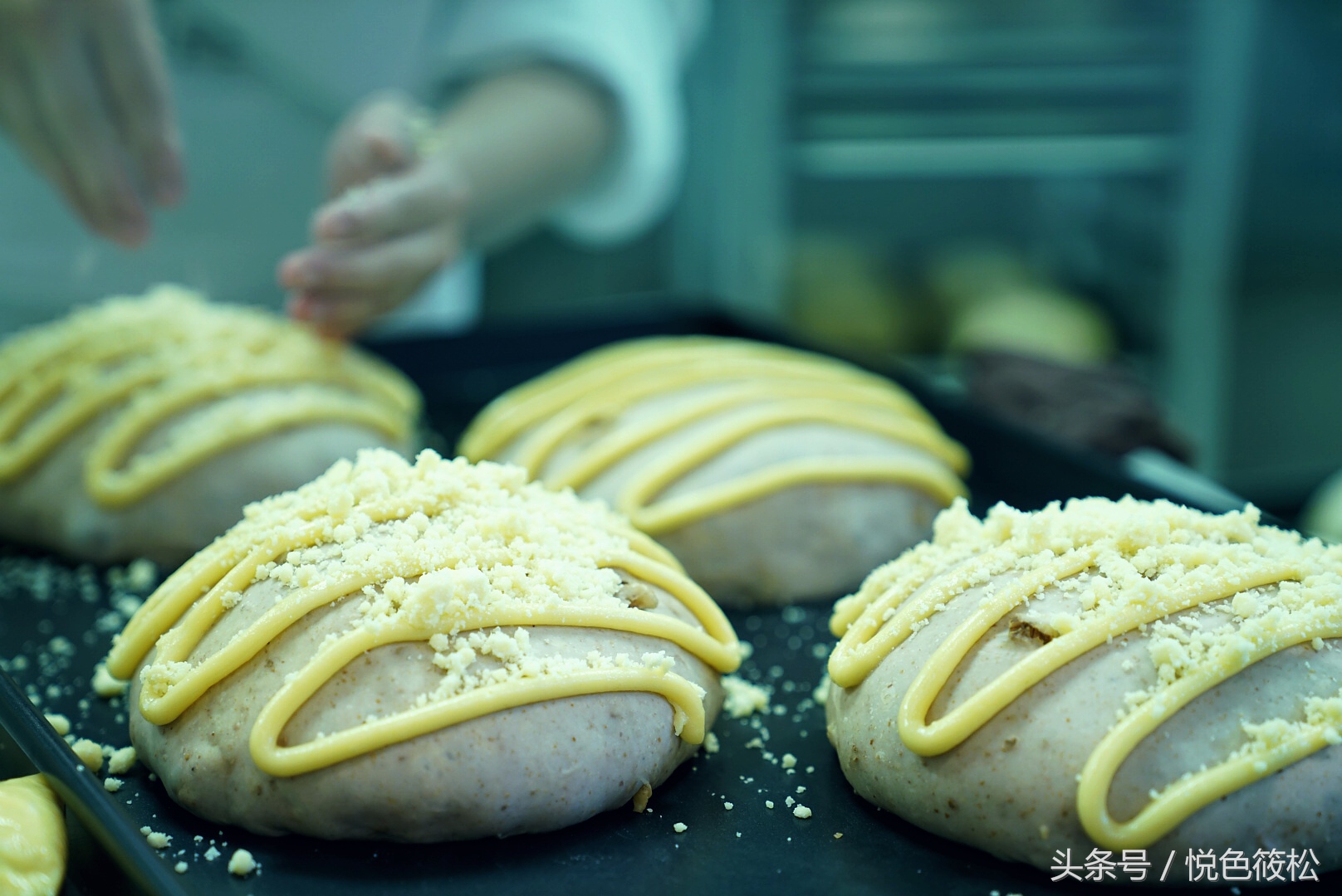 大连全麦面包哪家好吃,原麦山丘的面包为什么那么好吃