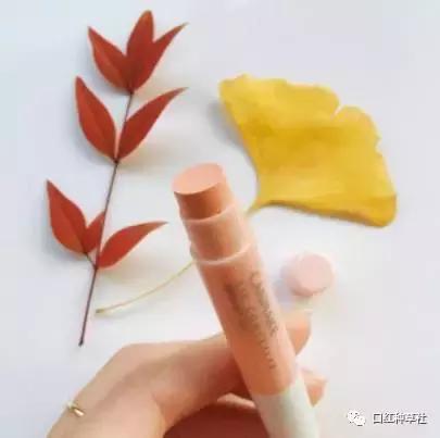 唇色深素颜口红不沾杯推荐,唇色偏深不沾杯口红