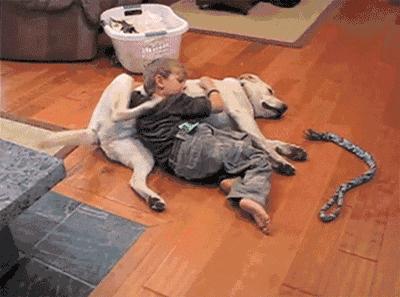 路由器有几根天线比较合适,路由器的4根天线怎么放最强