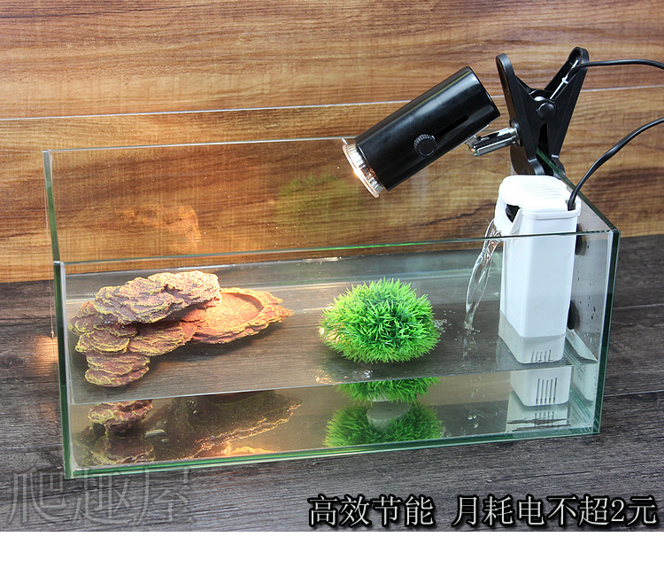 乌龟腐皮老是反复,红茶治疗乌龟腐皮