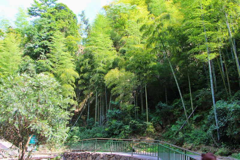 一场说走就走暑假旅行,一场说走就走的旅行来了